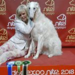 Borzoi Shtorm